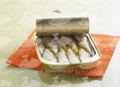 خرید و قیمت روز کنسرو ماهی کلیکا