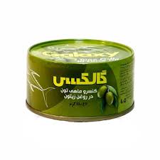 قیمت عمده انواع تن ماهی؛خرید از کارخانه